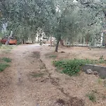 Marigold ヴィラ Prínos