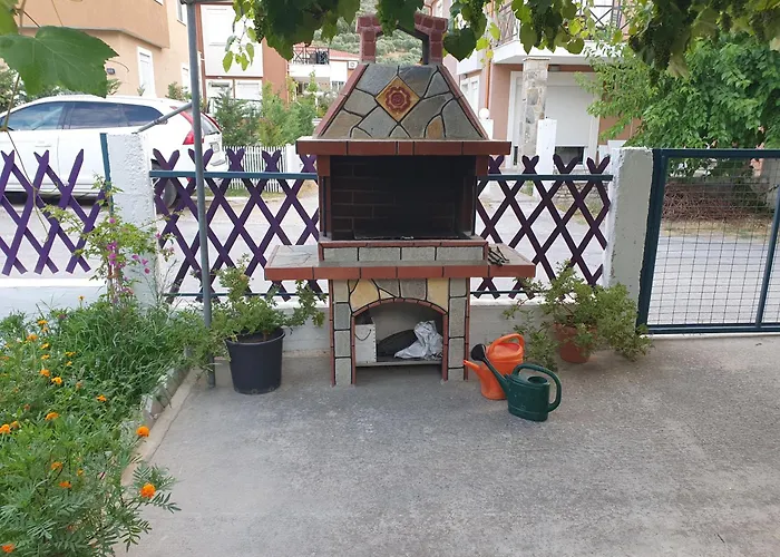 Marigold * Πρίνος