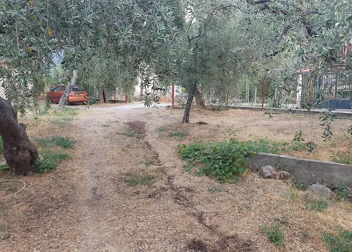 Marigold Βίλα Πρίνος